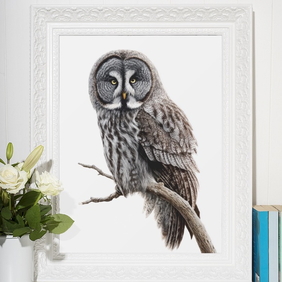 Watercolor Great Grey Owl Portrait Wall Art Print Poster, Unframed - Picture 6 of 6